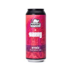 MadCat/Harry 11° Rybíz Sour Ale