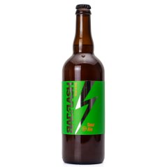 Bad-Flash 12° Mango & Chilli Sour Ale