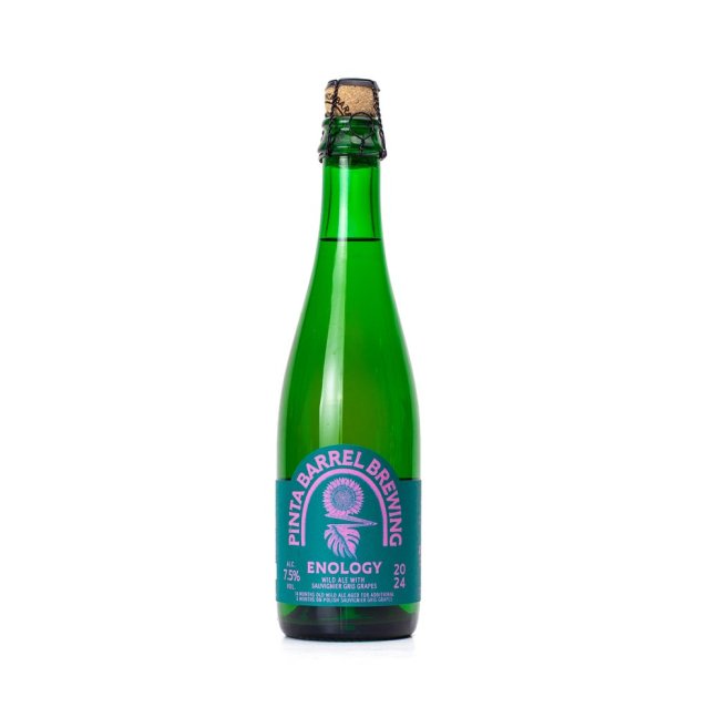 Pinta 15° Enology  2024 Wild Ale