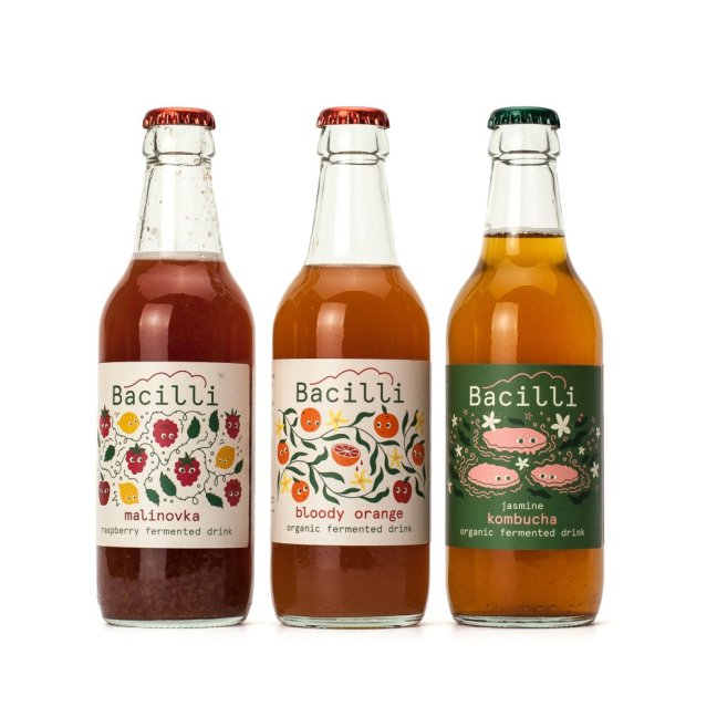 Bacilli kombucha - Jasmín