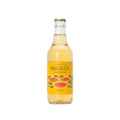 Bacilli Kombucha Maté