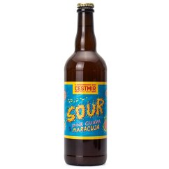 Čestmír 12° Pink Guava Maracuja Sour Ale