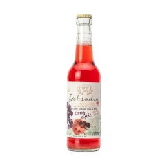 Tátův-sad zahradní limonáda s černým rybízem