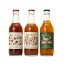Bacilli kombucha - Jasmín