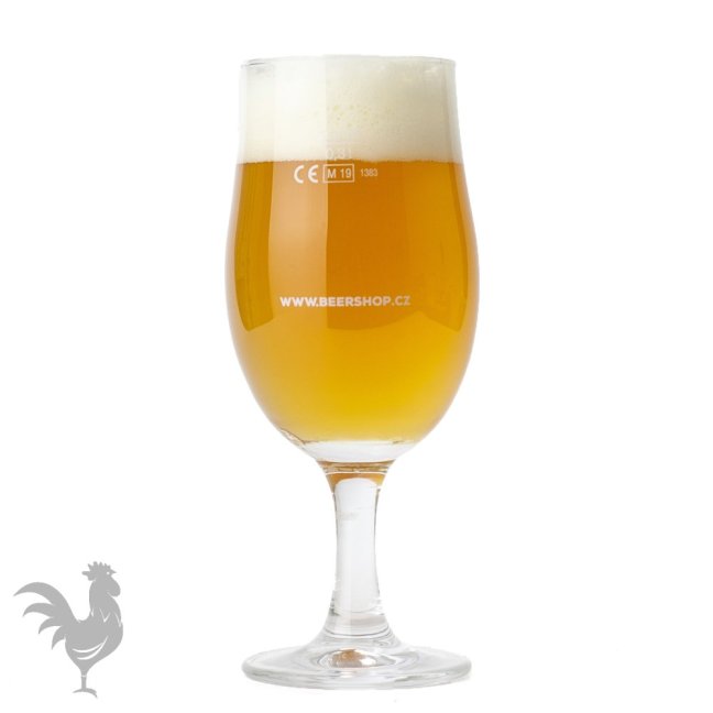 Beershop Drink Craft Beer Sklenice