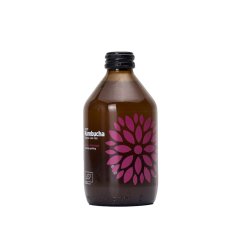 Vigo Kombucha Mango Maracuja