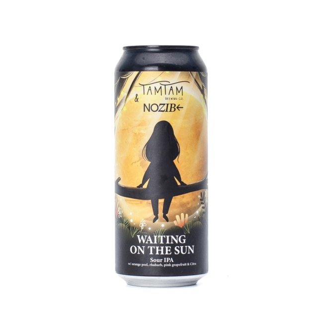 Nozib 17° Waiting On The Sun Sour IPA