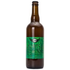 Čestmír 13° Roots Hazy IPA