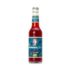 Wostok Borůvka Šalvěj