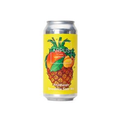 Ārpus 16° Fruitheart Smoothie Sour Ale