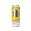 Zichovec 16° Mango Sticky Rice NEIPA